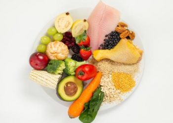 Ideas variadas de plato único para una alimentación saludable