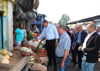 Pro Consumidor confirma reducción precio del&nbsp;plátano y de otros productos de canasta básica
