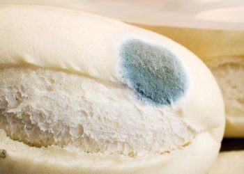Riesgos de retirar el moho de un alimento y comer el resto