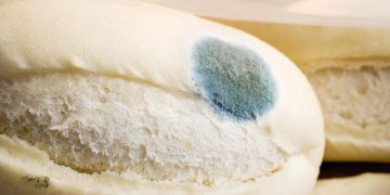 Riesgos de retirar el moho de un alimento y comer el resto
