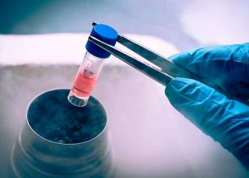 Congelación de esperma: todo lo que necesitas saber