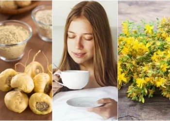 8 alimentos y una hierba que suben la libido, según los nutricionistas