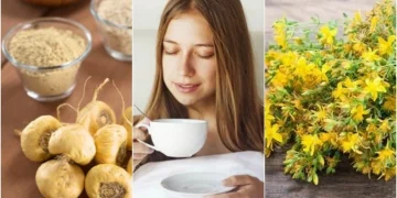 8 alimentos y una hierba que suben la libido, según los nutricionistas