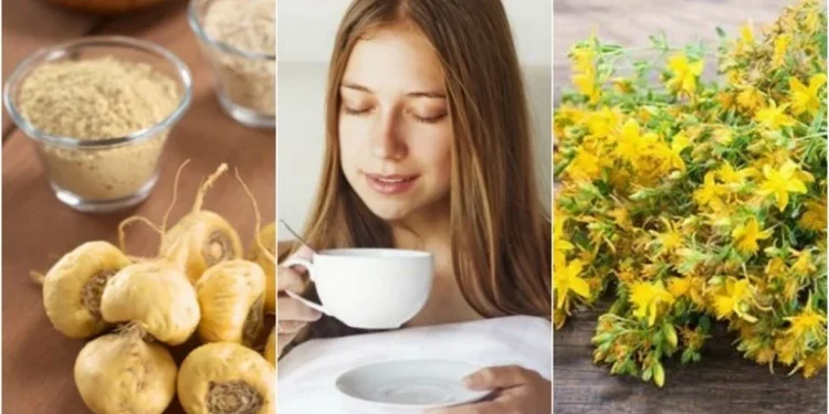 8 alimentos y una hierba que suben la libido, según los nutricionistas