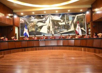 Tribunal Constitucional conoce 9 expedientes en audiencia pública y declara 6 en estado de fallo