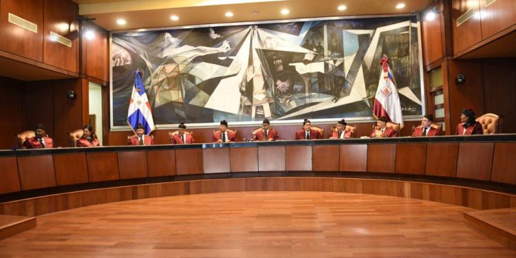 Tribunal Constitucional conoce 9 expedientes en audiencia pública y declara 6 en estado de fallo