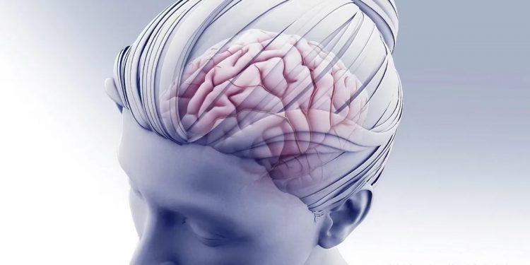 Expertos de Harvard alertan sobre las devastadoras consecuencias de no dormir lo suficiente