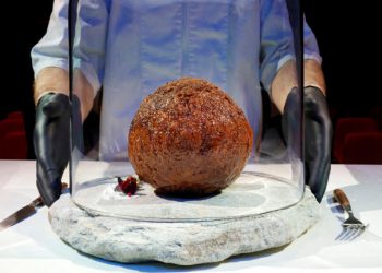 Científicos presentan una albóndiga de carne de mamut