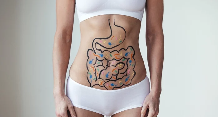 El poder de la microbiota para mejorar la salud