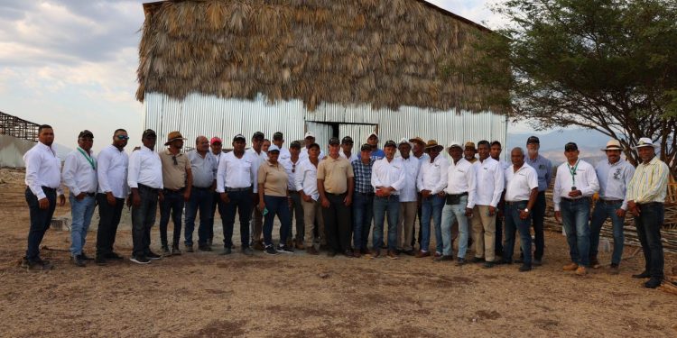 Productores tabacaleros del Sur reconocen papel protagónico del INTABACO