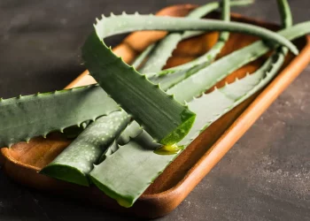 Aloe vera