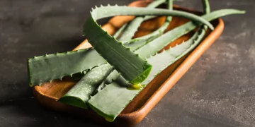 Aloe vera