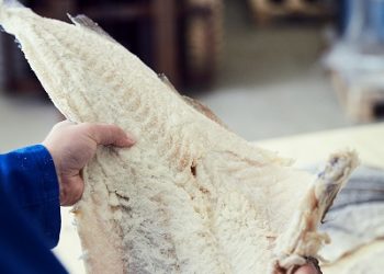 Periodistas dominicanos conocen el origen del auténtico bacalao Noruego