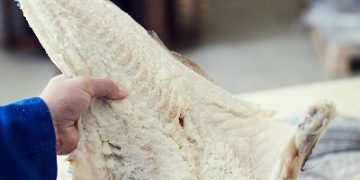 Periodistas dominicanos conocen el origen del auténtico bacalao Noruego