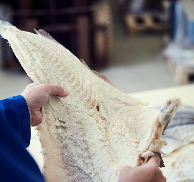 Periodistas dominicanos conocen el origen del auténtico bacalao Noruego