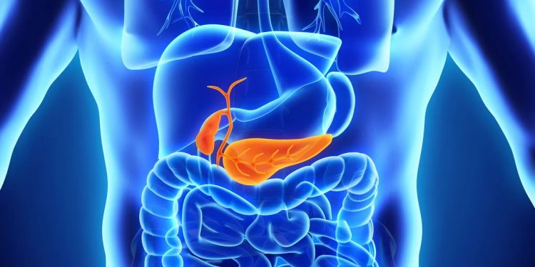 Inflamación de la vesícula: por qué se produce y cómo es el tratamiento