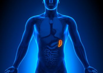 Vivir sin bazo: ¿qué consecuencias tiene para la salud?