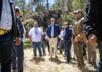 Presidente Abinader anuncia plan de acción para regenerar zonas afectadas por incendios en Valle Nuevo y todo el país