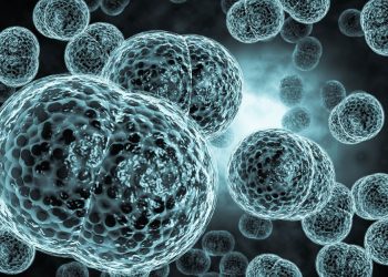 Meningitis