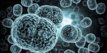 Meningitis
