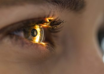 Escanear los iris para acceder a criptomoneda gratuita: este es el nuevo proyecto del CEO de OpenAI