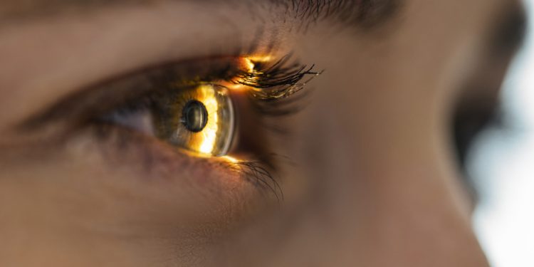 Escanear los iris para acceder a criptomoneda gratuita: este es el nuevo proyecto del CEO de OpenAI
