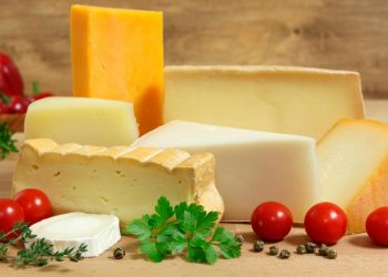 Estoy a dieta: ¿puedo comer queso?