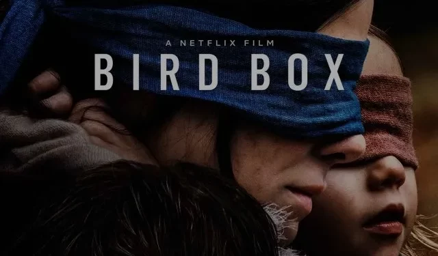 Todo lo que debes saber sobre la secuela de «Bird Box»