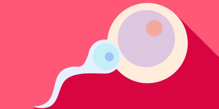 Mes de la Fertilidad: así se trata la esterilidad (también la masculina)