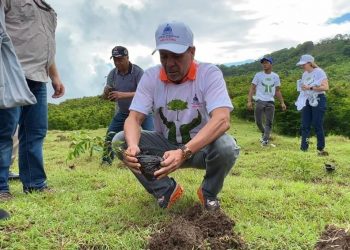 Ministerio de Agricultura siembra más de mil plantas en San Cristóbal