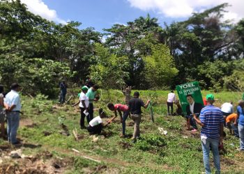 Yoel Concepción, realiza jornada de siembra de árboles