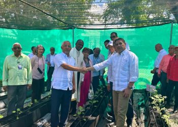 Agricultura y Educación lanzan Programa de Huertos Escolares, «Cultivando un futuro Saludable»