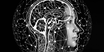 ¿Quién tiene más riesgo de padecer epilepsia?