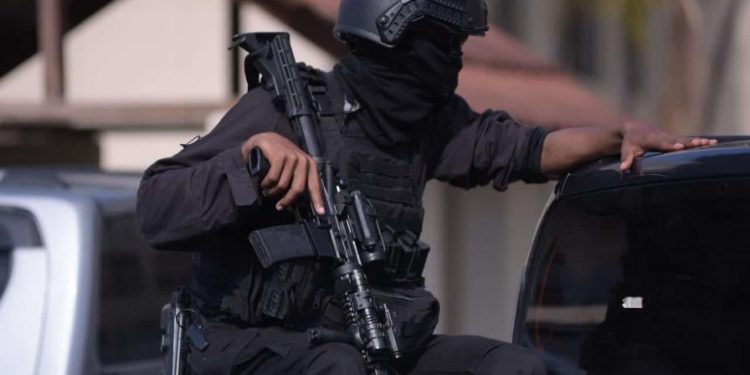 El MP, la DNCD y la PN ponen en marcha la Operación Halcón IV contra varias estructuras del crimen organizado