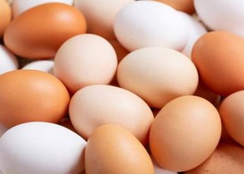 Cómo evitar la salmonelosis y qué hacer si me intoxico