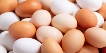 Cómo evitar la salmonelosis y qué hacer si me intoxico