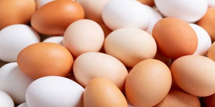 Cómo evitar la salmonelosis y qué hacer si me intoxico