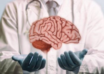 Regeneración del cerebro y la médula espinal: ¿cuáles son los límites?