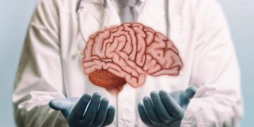 Regeneración del cerebro y la médula espinal: ¿cuáles son los límites?