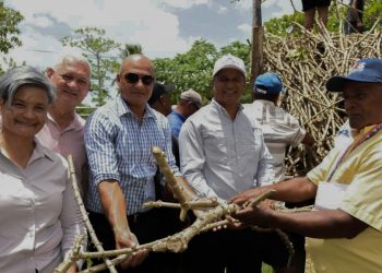 Agricultura prepara tierra y entrega material de siembra en San Pedro de Macorís