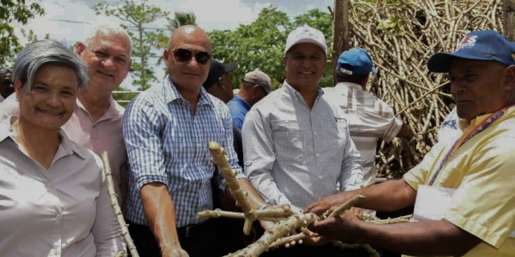 Agricultura prepara tierra y entrega material de siembra en San Pedro de Macorís