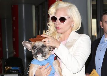 Lady Gaga no tendrá que pagarle recompensa a la mujer que encontró a sus perros