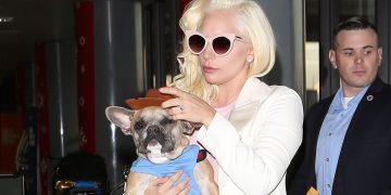 Lady Gaga no tendrá que pagarle recompensa a la mujer que encontró a sus perros