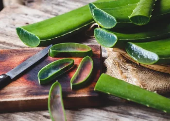 Aloe vera
