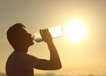 El calor extremo no da tregua: las herramientas que alertan sobre el cambio climático y sus limitaciones