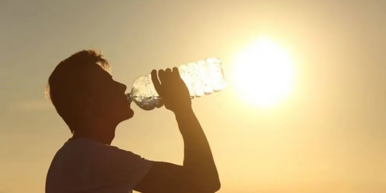 El calor extremo no da tregua: las herramientas que alertan sobre el cambio climático y sus limitaciones