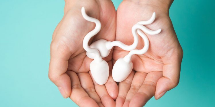 Según un estudio, el covid disminuye la calidad del semen