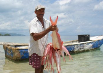 Gobierno emite decreto donde se establece veda por dos años pesca de varias especies