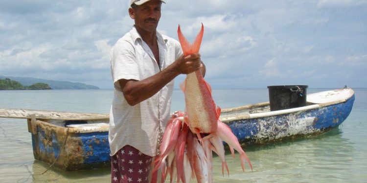 Gobierno emite decreto donde se establece veda por dos años pesca de varias especies