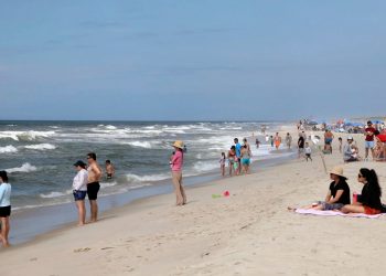 Un tiburón hambriento ahuyentó a los bañistas de una playa de Florida al nadar cerca de la orilla
